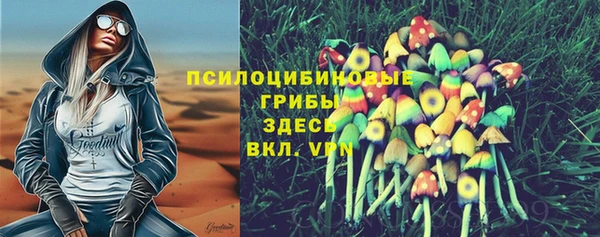 твердый Россошь
