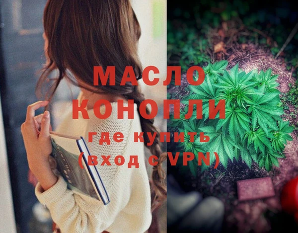 хмурый Сатка