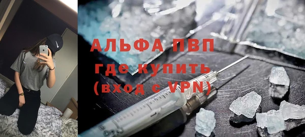 стаф Сафоново