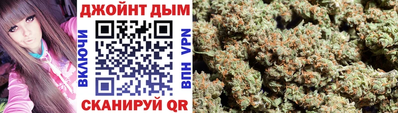 купить   Суздаль  Шишки марихуана OG Kush 